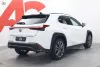 Lexus UX 250h F SPORT Design - Uusi auto heti toimitukseen Thumbnail 5